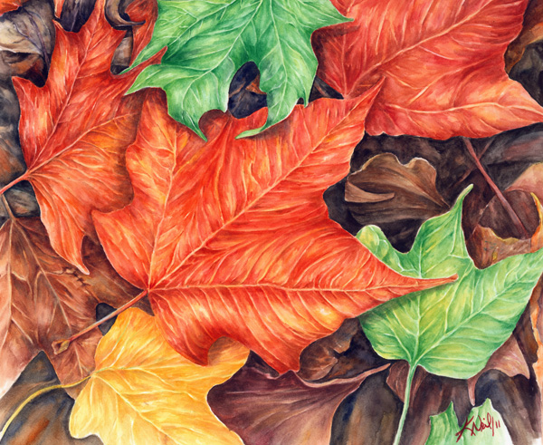 Autumn leaves, watercolour, 2011