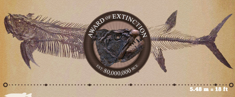 Xiphactinus infographic for Travel Manitoba and the Canadian Fossil Discovery Centre