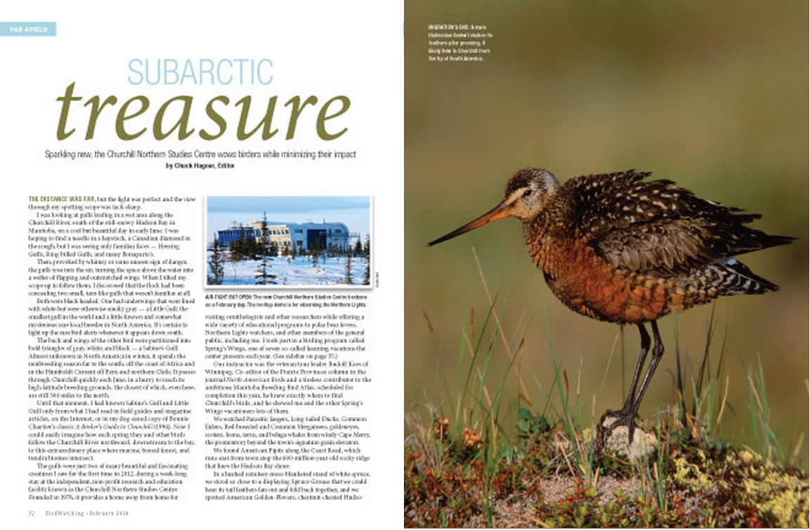 Subarctic Treasure article in Bird Watching magazine