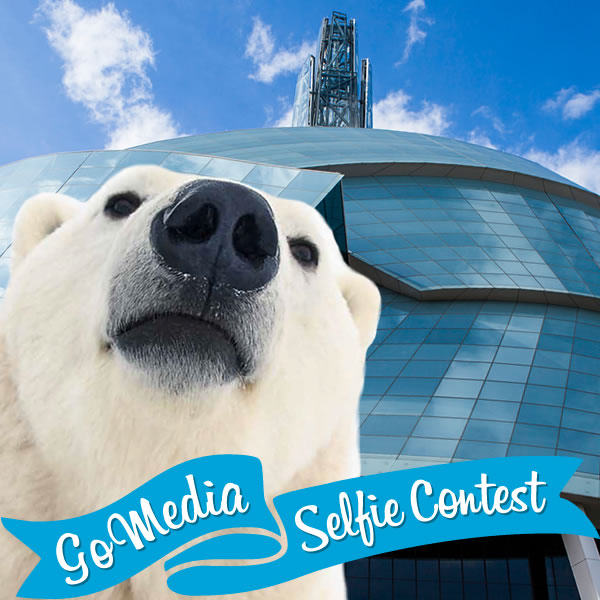 Polar bear at CMHR. GoMedia 2014 Selfie Contest for Travel Manitoba.