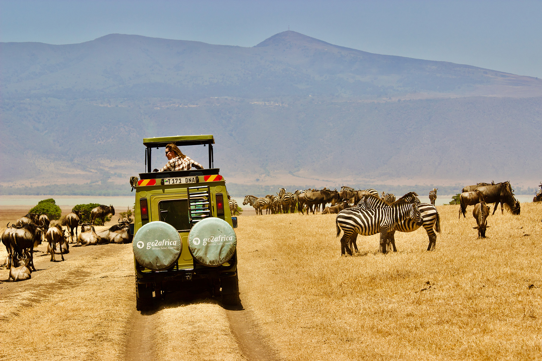 Safari in Ngorongoro, Ngorongoro Crater, Tanzania
